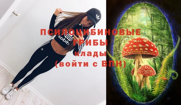 мяу мяу мука Армянск