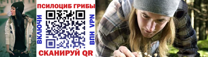 Галлюциногенные грибы Psilocybe Озёрск